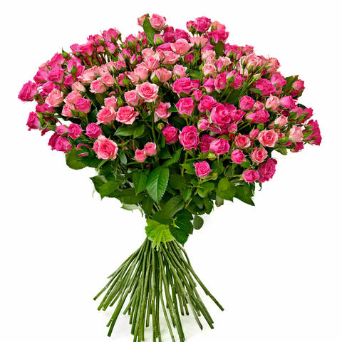 http://upforme.ru/uploads/0016/76/a2/10/t79276.jpg