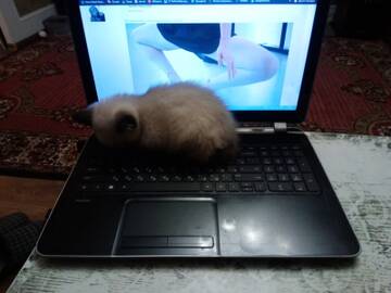 http://upforme.ru/uploads/0016/76/a2/26/t321864.jpg