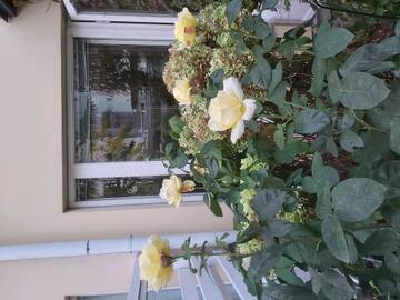 http://upforme.ru/uploads/0016/76/a2/6/t513130.jpg
