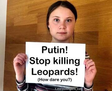 http://upforme.ru/uploads/0016/76/a2/85/t967431.jpg