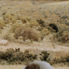http://upforme.ru/uploads/0016/82/74/3/805434.gif