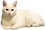 http://upforme.ru/uploads/0016/8f/4c/2/984854.png