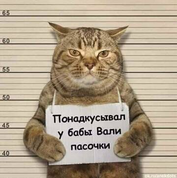 http://upforme.ru/uploads/0016/c4/68/16/t677506.jpg