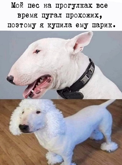 http://upforme.ru/uploads/0016/c4/68/44/333285.jpg