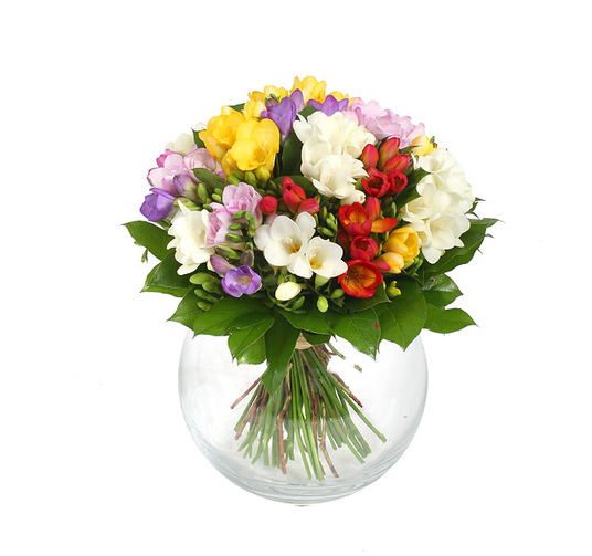 http://upforme.ru/uploads/0016/c4/68/44/490258.jpg