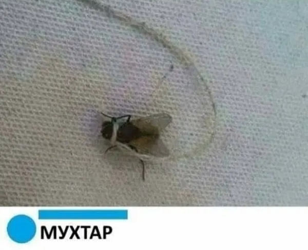 http://upforme.ru/uploads/0016/c4/68/44/710122.jpg