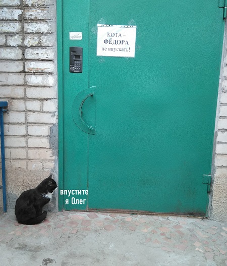 http://upforme.ru/uploads/0016/c4/68/44/928471.jpg