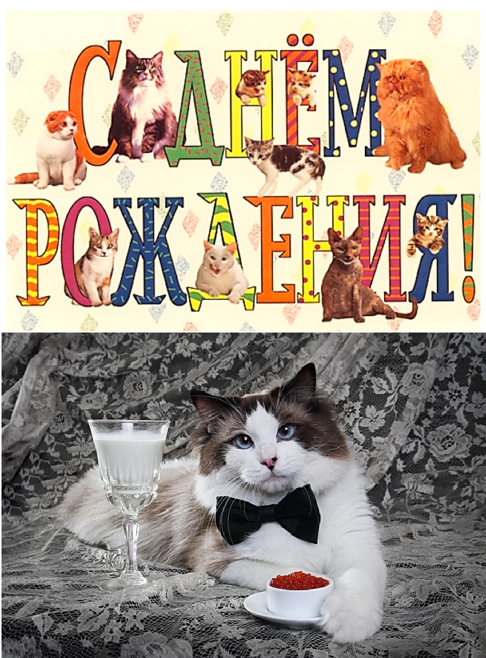 http://upforme.ru/uploads/0016/c4/68/54/439126.jpg