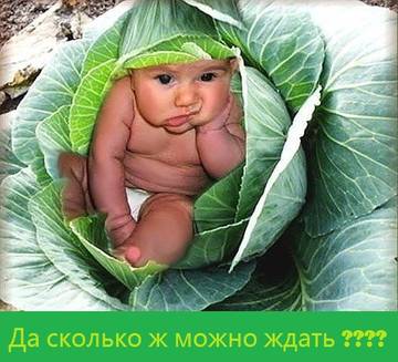 http://upforme.ru/uploads/0016/c4/68/54/t15677.jpg