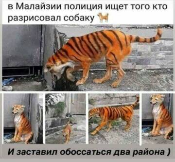 http://upforme.ru/uploads/0016/c4/68/54/t181590.jpg
