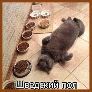 http://upforme.ru/uploads/0016/c4/68/54/t34724.jpg