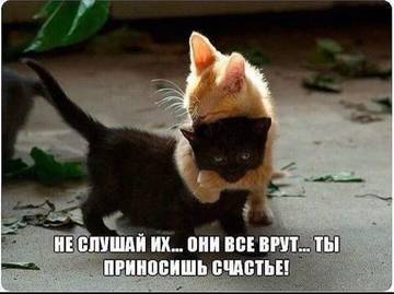 http://upforme.ru/uploads/0016/c4/68/54/t405387.jpg