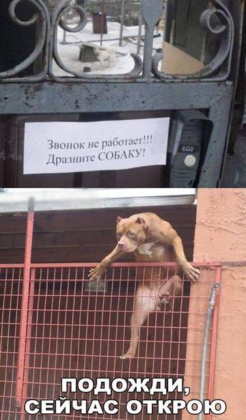 http://upforme.ru/uploads/0016/c4/68/54/t70888.jpg
