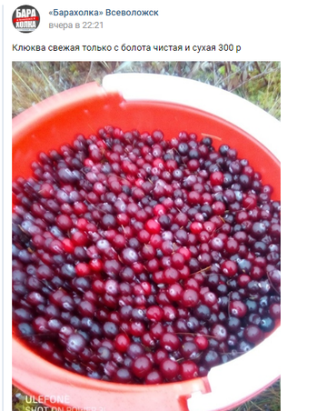 http://upforme.ru/uploads/0016/c4/68/54/t72185.png