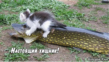 http://upforme.ru/uploads/0016/c4/68/54/t87772.png