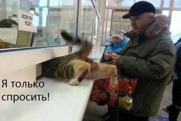 http://upforme.ru/uploads/0016/c4/68/54/t90558.jpg