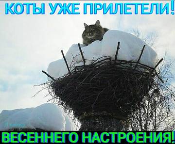 http://upforme.ru/uploads/0016/c4/68/54/t91193.jpg