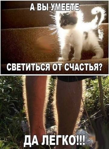 http://upforme.ru/uploads/0016/c4/68/6/t16110.jpg