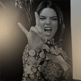 http://upforme.ru/uploads/0016/db/6a/2491/575743.gif