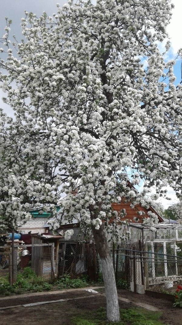 http://upforme.ru/uploads/0016/e4/0c/106/t128312.jpg