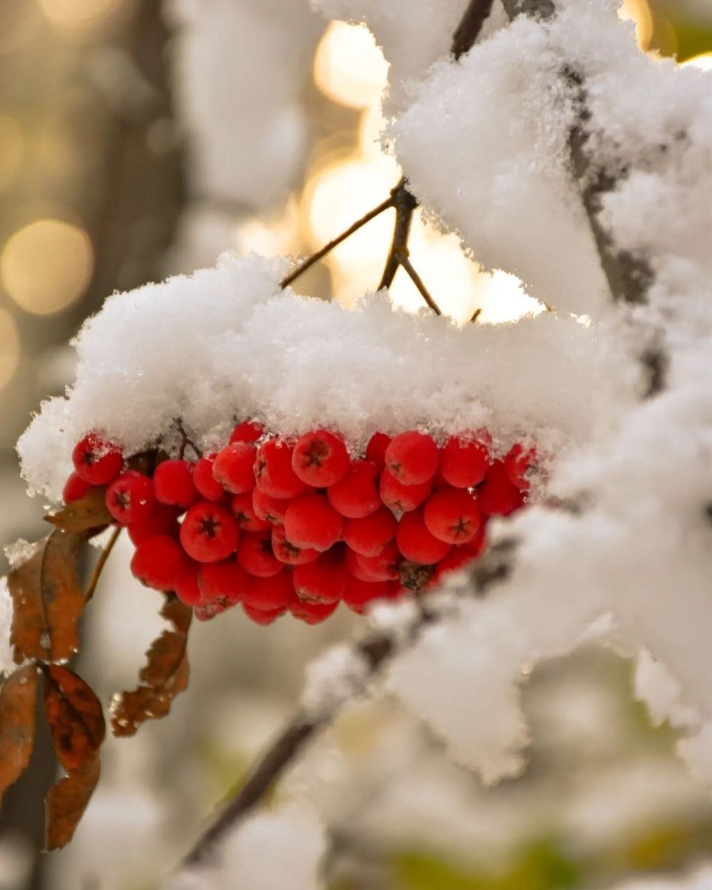 http://upforme.ru/uploads/0016/e4/0c/26/186490.jpg