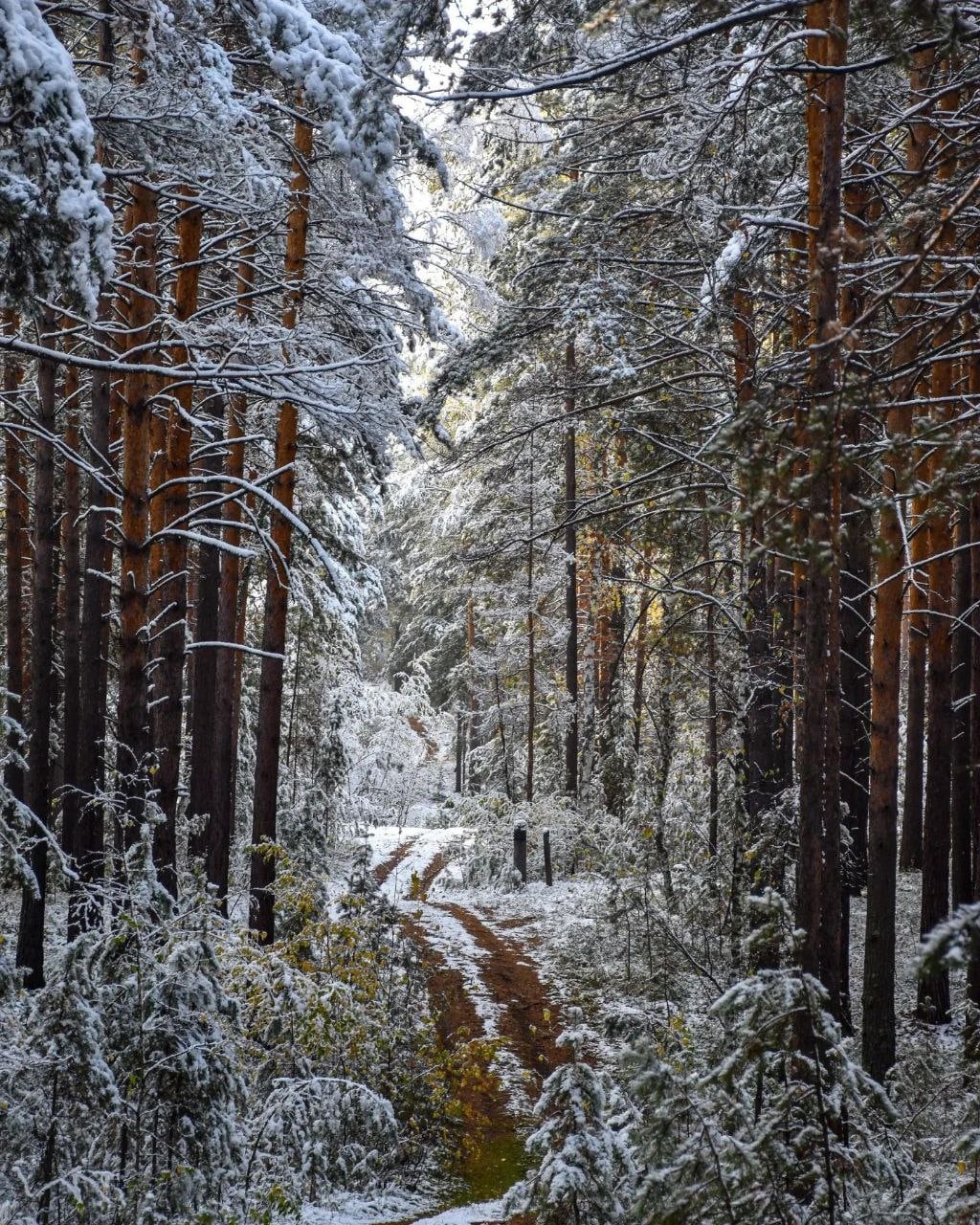 http://upforme.ru/uploads/0016/e4/0c/26/371030.jpg