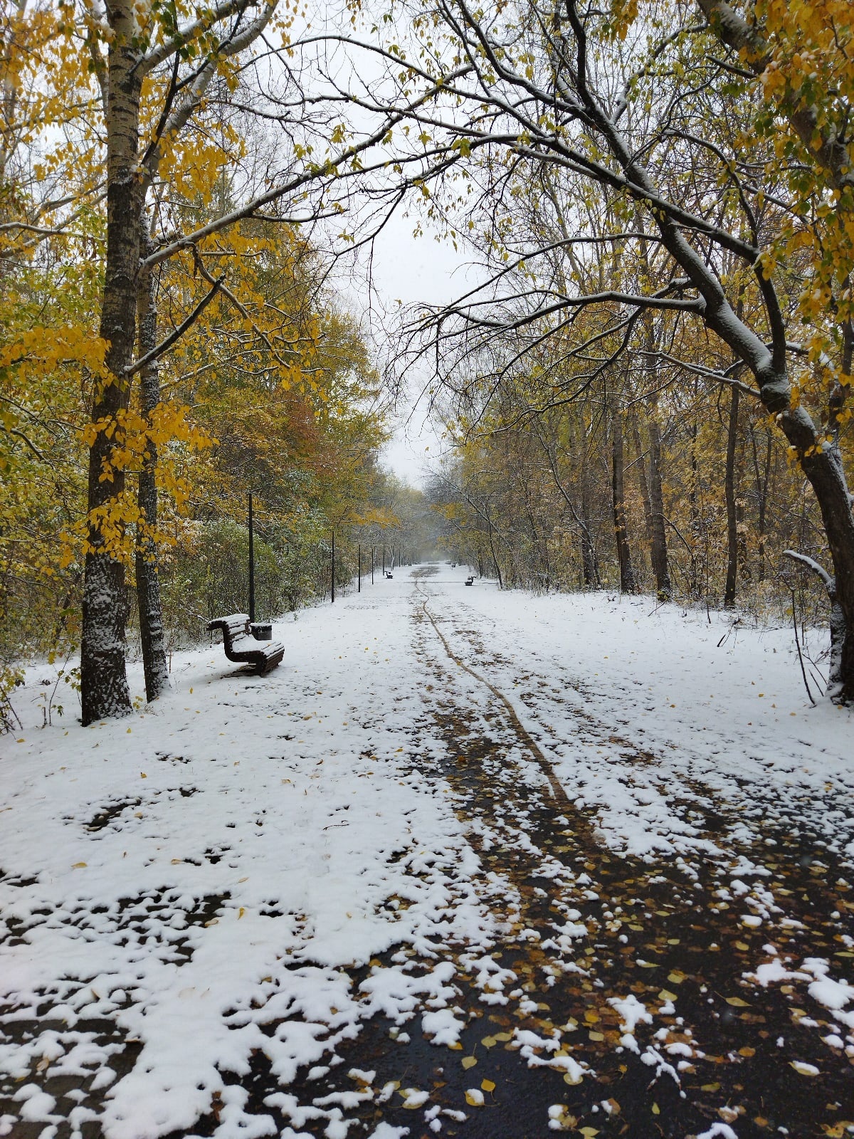 http://upforme.ru/uploads/0016/e4/0c/26/651285.jpg