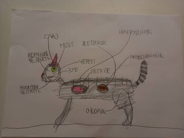 http://upforme.ru/uploads/0016/e4/0c/26/t936758.jpg