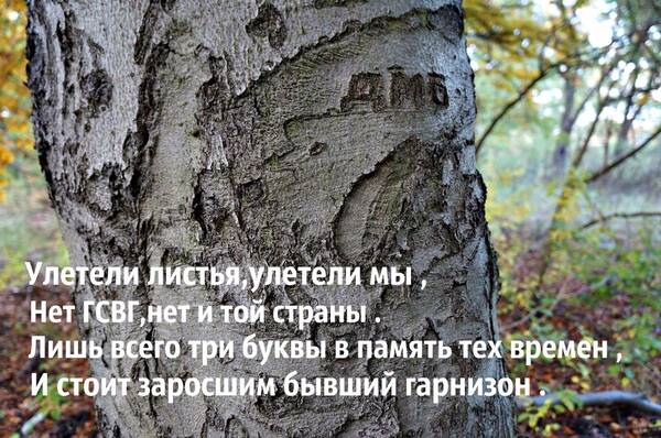 http://upforme.ru/uploads/0016/e4/0c/3/t179123.jpg
