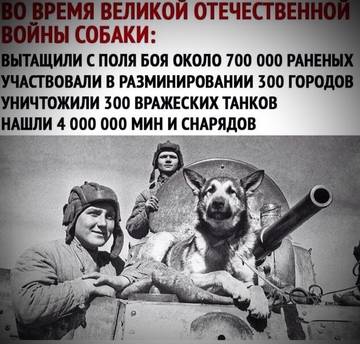 http://upforme.ru/uploads/0016/e4/0c/3/t264307.jpg