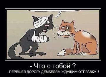 http://upforme.ru/uploads/0016/e4/0c/3/t468003.jpg