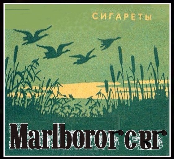 http://upforme.ru/uploads/0016/e4/0c/3/t777601.jpg
