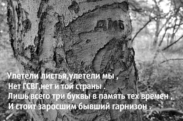 http://upforme.ru/uploads/0016/e4/0c/3/t95787.jpg