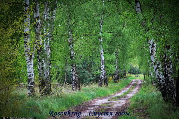http://upforme.ru/uploads/0016/e4/0c/64/t238308.jpg