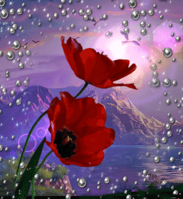 http://upforme.ru/uploads/0016/eb/73/12/56580.gif