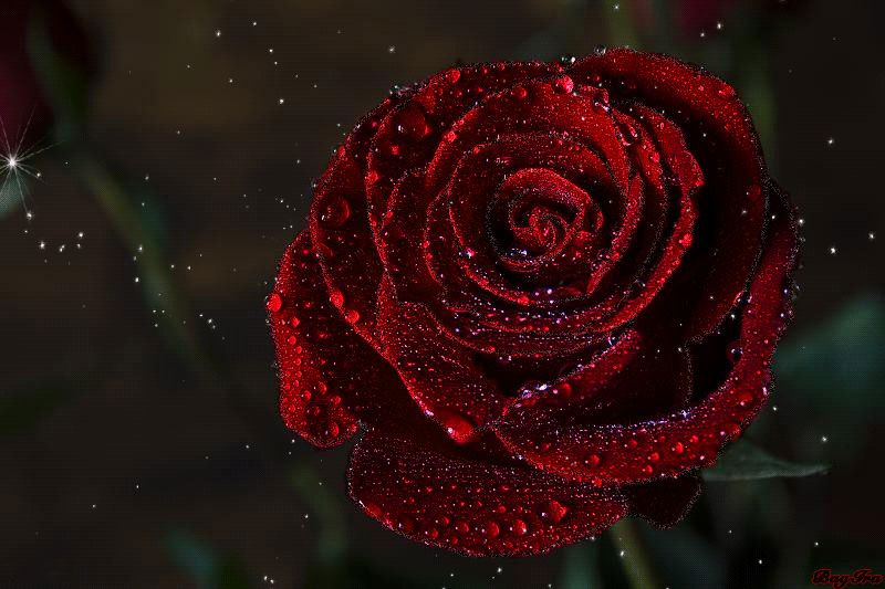 http://upforme.ru/uploads/0016/eb/73/4/13838.jpg
