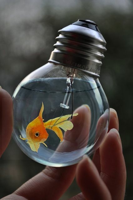 http://upforme.ru/uploads/0016/ef/6f/2/t333176.jpg