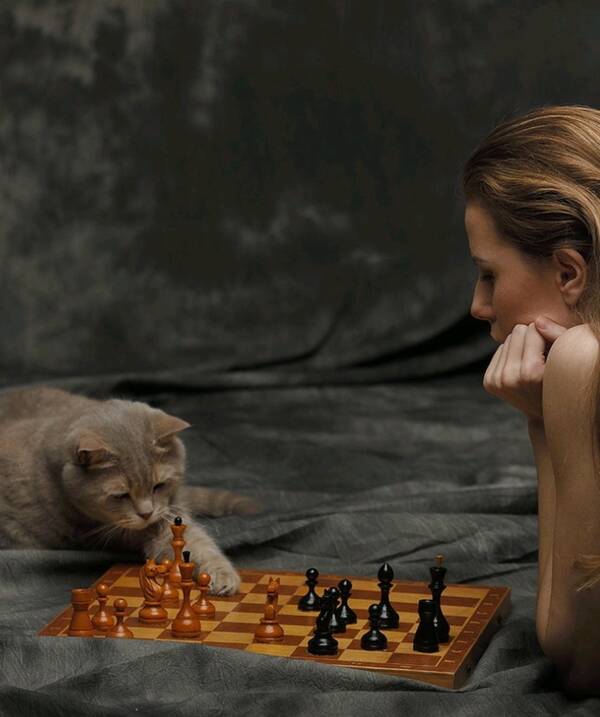 http://upforme.ru/uploads/0016/ef/6f/2/t668799.jpg