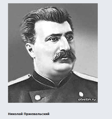 http://upforme.ru/uploads/0016/ef/6f/2/t72111.png