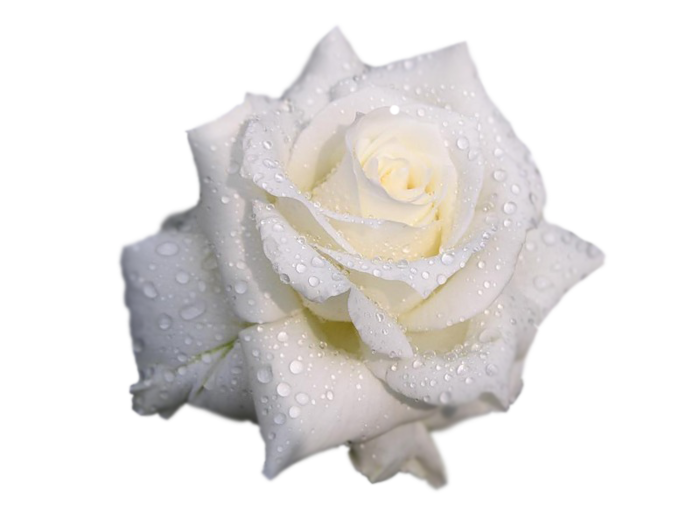 http://upforme.ru/uploads/0017/2d/ab/2/238504.png