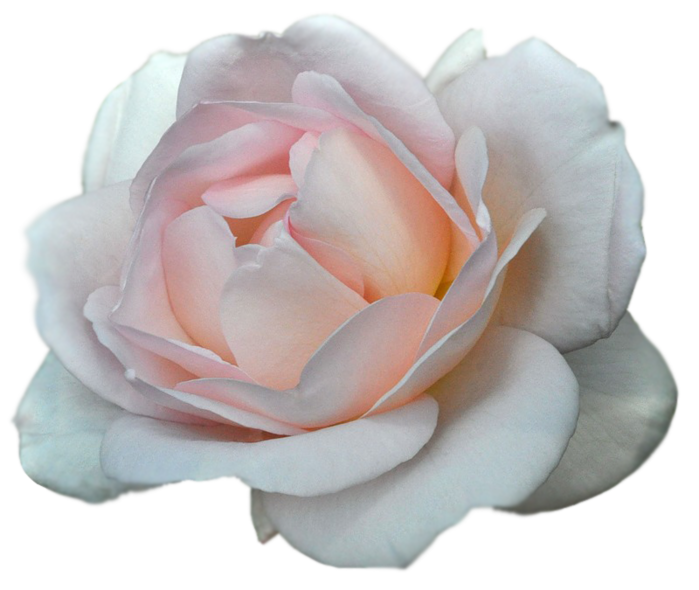 http://upforme.ru/uploads/0017/2d/ab/2/473252.png