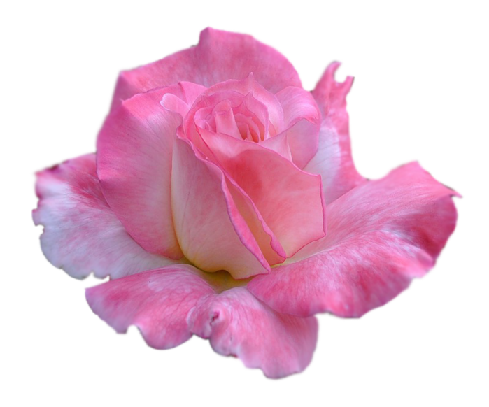 http://upforme.ru/uploads/0017/2d/ab/2/658670.png