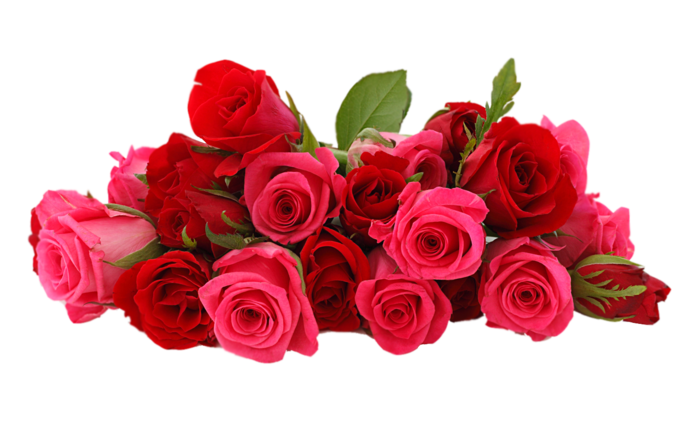 http://upforme.ru/uploads/0017/2d/ab/2/726247.png