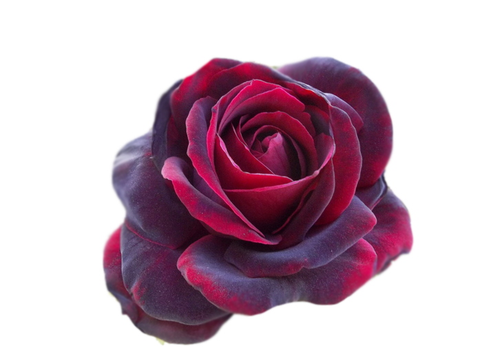 http://upforme.ru/uploads/0017/2d/ab/2/745918.png