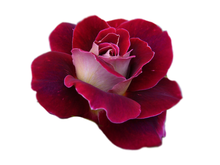 http://upforme.ru/uploads/0017/2d/ab/2/789171.png