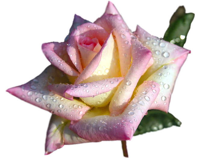 http://upforme.ru/uploads/0017/2d/ab/2/977997.png
