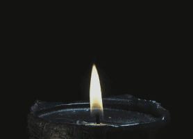http://upforme.ru/uploads/0017/33/5d/2/t285347.gif