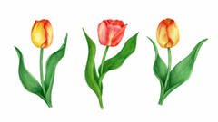 http://upforme.ru/uploads/0017/37/10/4/t41631.jpg