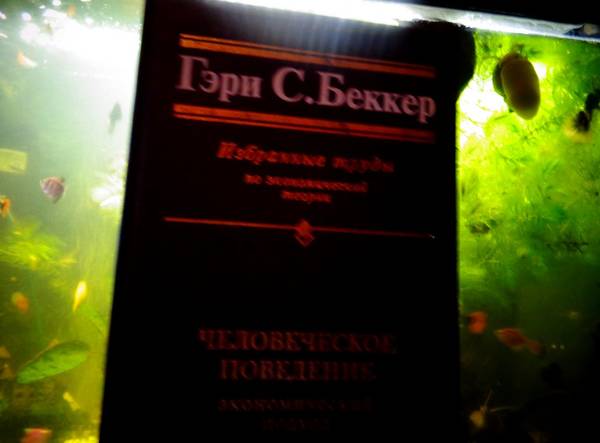 http://upforme.ru/uploads/0017/51/7b/4/t584193.jpg