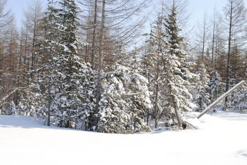 http://upforme.ru/uploads/0017/79/4e/3/t256071.jpg